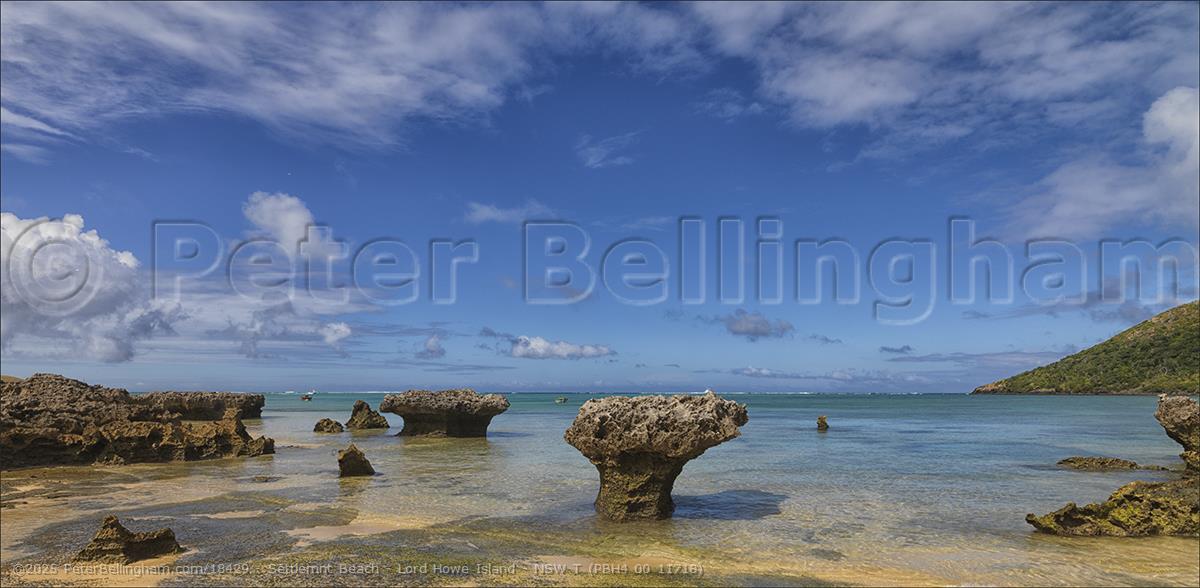 Peter Bellingham Photography Settlemnt Beach - Lord Howe Island - NSW T (PBH4 00 11718)